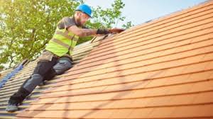 Best Roof Moss and Algae Removal  in Fairmont, MN