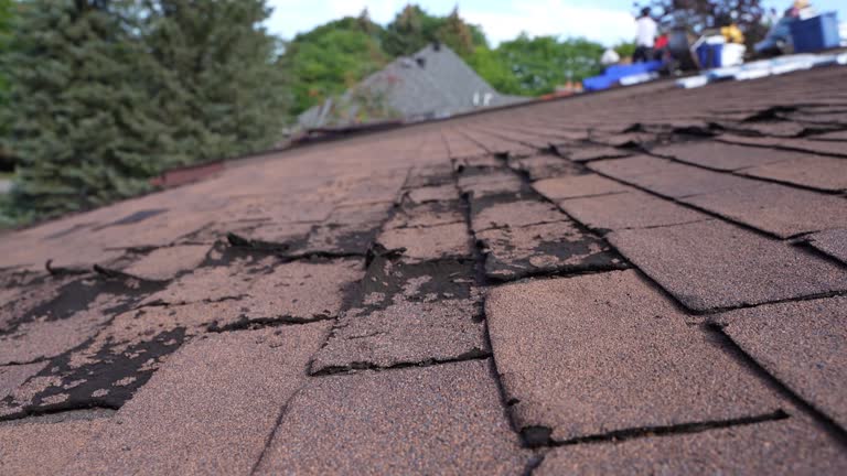 Best Asphalt Shingles Roofing  in Fairmont, MN