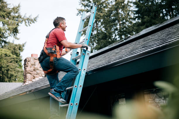 Best Roof Leak Repair  in Fairmont, MN
