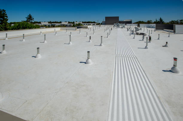 Best Roof Maintenance and Cleaning  in Fairmont, MN